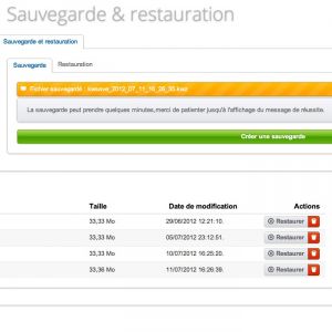 Sauvegarde et restauration